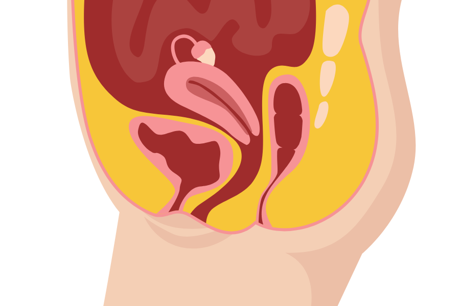 From Fear to Freedom: Journey Towards Healing