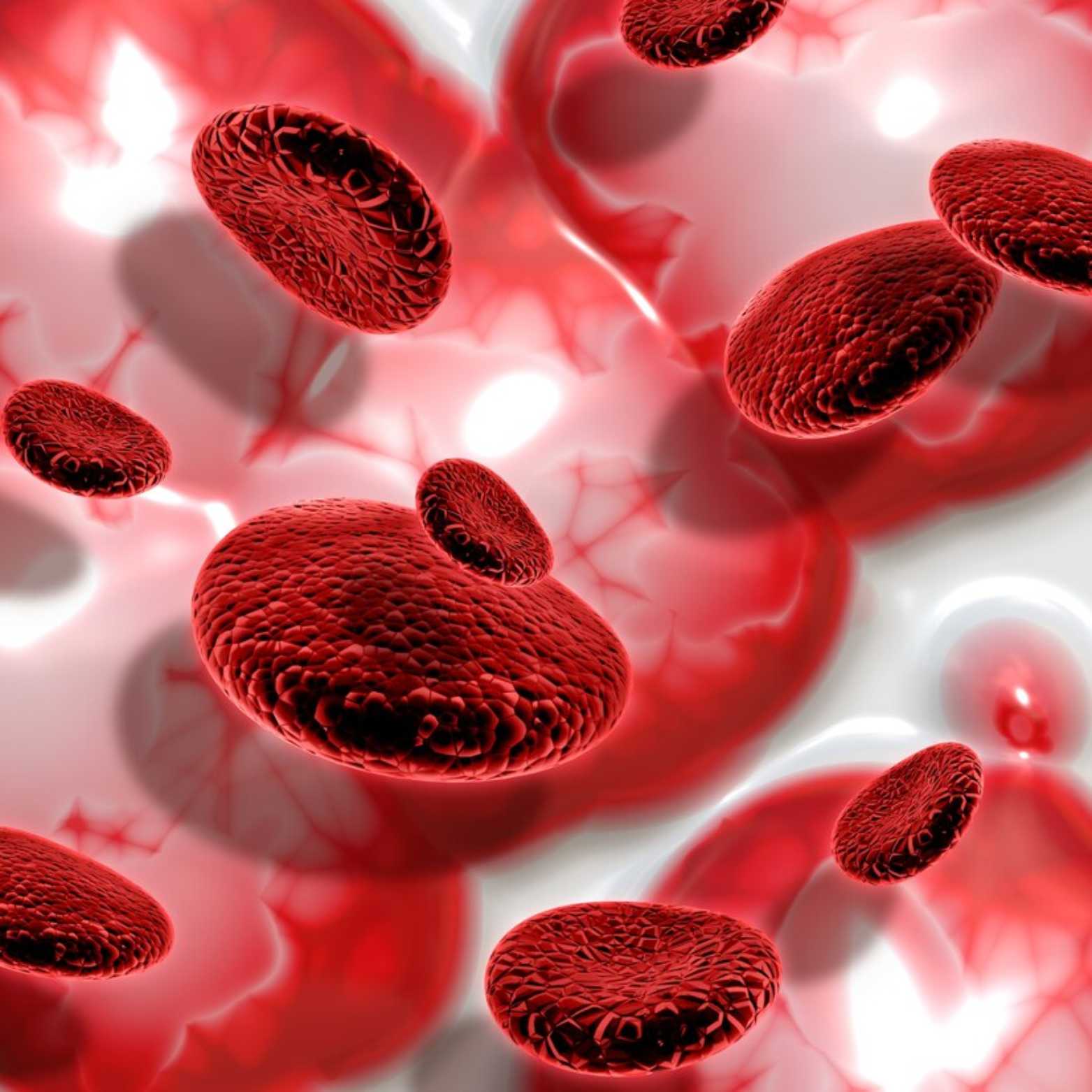 Acid Peptic Disease 