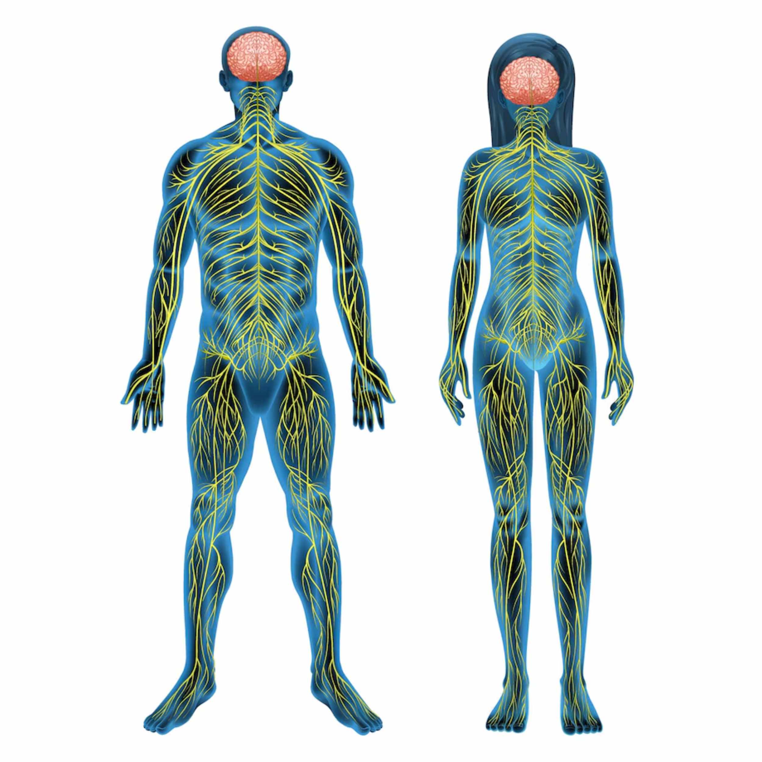 Acid Peptic Disease 