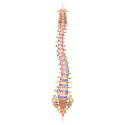  Lumbar Spondylosis